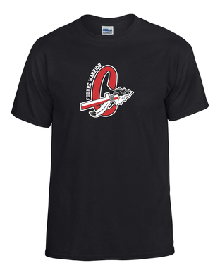 LIB-PTA-481-9 - Gildan 5.5 oz., 50/50 Short Sleeve T-Shirt -  Future Warrior Logo
